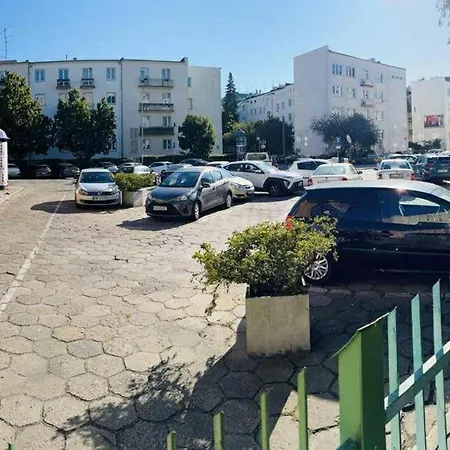 Muszelka Nadmorskie Miejsce